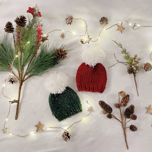 Winter 2022 Beanie